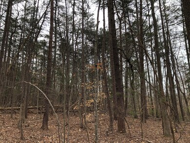 Lots 4-5 Oral Oaks Rd, South Hill, VA 23970 - photo 7