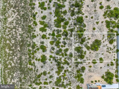 1710 N Bay Shore Dr, Milton, DE 19968 - photo 6