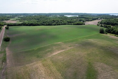 Looking S & SW towards Cty Rd 20 & Little Pelican Drone1_9.jpg