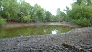 368 Greanead Rd, Forestburg, TX 76239 - photo 7