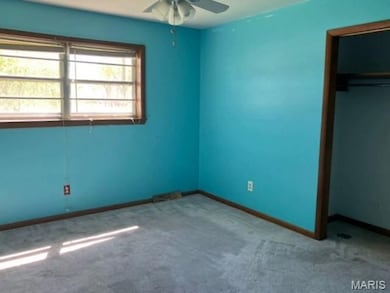 16753 State Highway J, Campbell, MO 63933 - photo 6