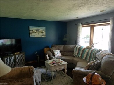 816 Alameda Ave, Sheffield Lake, OH 44054 - photo 4