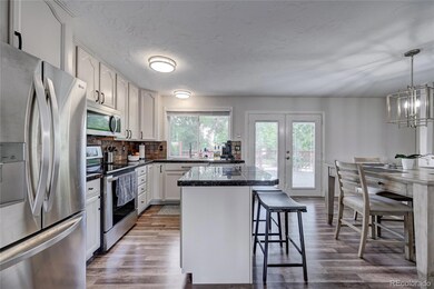 3407 E 117th Place, Thornton, CO 80233 - photo 6