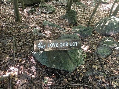 114 Saddle Brook Ln, Blooming Grove Township, PA 18428 - photo 3