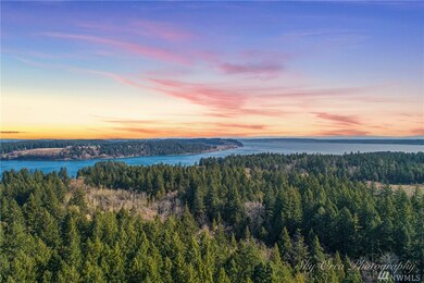 0 Otso Point Rd unit 1609342, Anderson Island, WA 98303 - photo 7