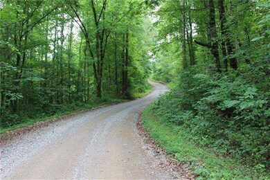 0 Freeman Fielder Rd, Stewart, TN 37175 - photo 5