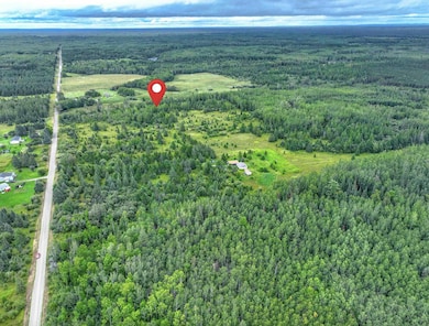 XXXX W Riek Rd, Cook, MN 55723 - photo 3