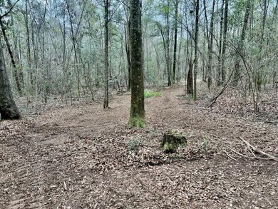 Trails cut randomly along the frontage for better 