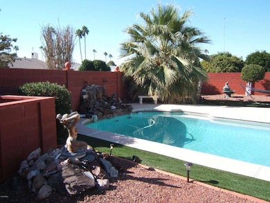 Resort-like backyard