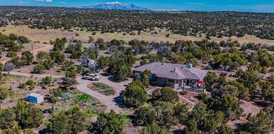 Drone View