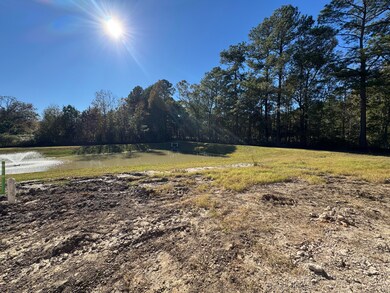 Backyard!