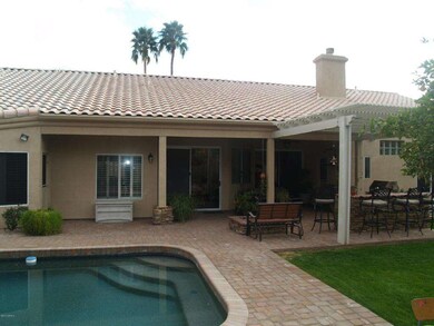 BACKYARD (2)