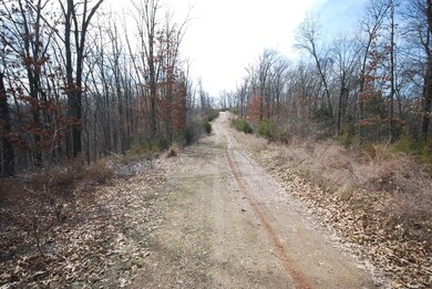 Lot 4 Irish Hills Blvd, Kimberling City, MO 65686 - photo 4