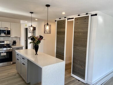 Quartz Counters/island