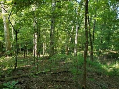 0 Goolsby Rd unit 7655845, Monticello, GA 31064 - photo 2