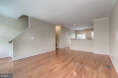 25370 Shipley Terrace, Chantilly, VA 20152 - photo 6