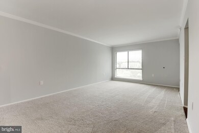 5756 Village Green Dr unit G, Alexandria, VA 22309 - photo 6
