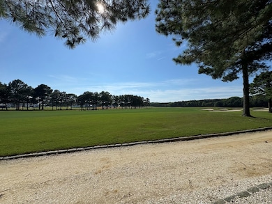 203 Blue Heaven Rd unit 58, Cape Charles, VA 23310 - photo 2