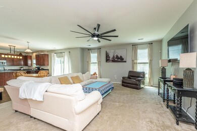 Living Room open to kitchen