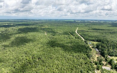 TBD NE 185th Rd, Live Oak, FL 32060 - photo 7