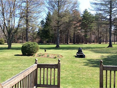 Yard/Garden.