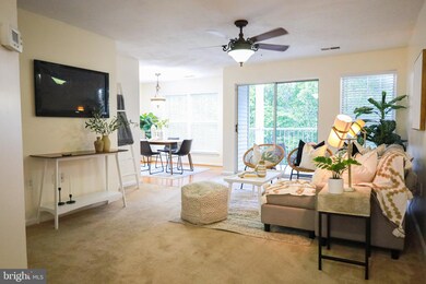 4409 Silverbrook Ln unit 202, Owings Mills, MD 21117 - photo 3