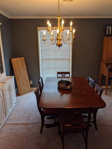 102 Cliffside Ave, Shelbyville, TN 37160 - photo 5