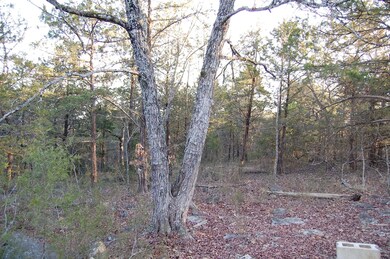 286 Peninsula Estates Ln, Kimberling City, MO 65686 - photo 7