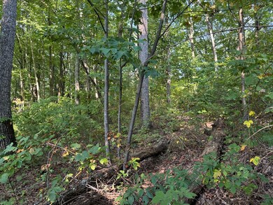 0 Trailwood Dr unit 407720, Ellijay, GA 30536 - photo 3