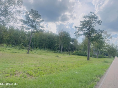 4887 Jackson Raymond Rd, Raymond, MS 39154 - photo 4