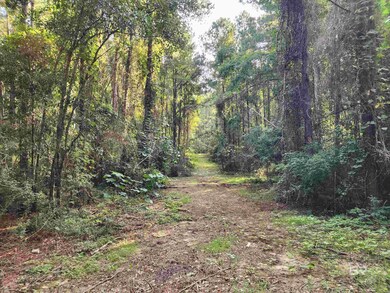 0 Lowery Rd unit Lot 10 382938, Atmore, AL 36502 - photo 5