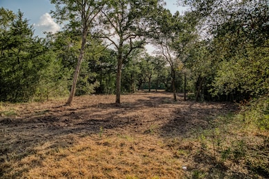 Tract 4 Sun Oil Rd, Brenham, TX 77833 - photo 2