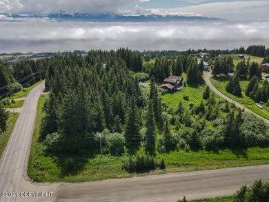 DJI_0349