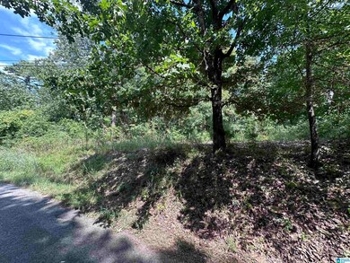 4976 Mountain Rd unit 22, Bessemer, AL 35023 - photo 4