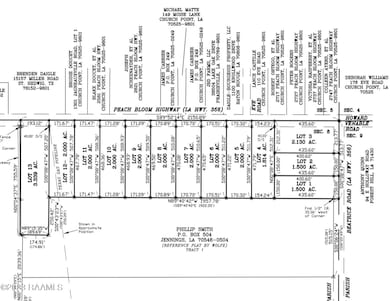 2700 Blk Peach Bloom Hwy unit Lot 5, Church Point, LA 70525 - photo 6