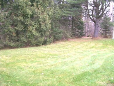Yard/Garden.