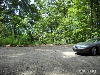 000 Tryst Dr, Asheville, NC 28805 - photo 3