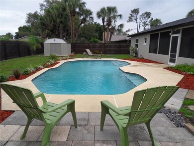 Pool, Patio and Yard