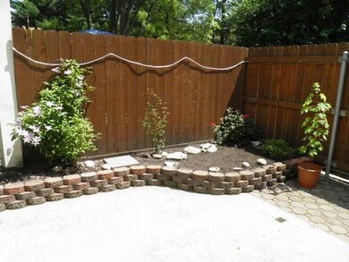 Rear Patio