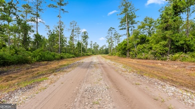 1 Coastal Estates Dr, Brunswick, GA 31525 - photo 7