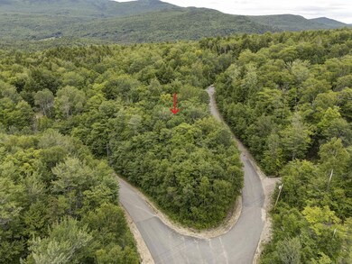 1-web-or-mls-Lot76-1
