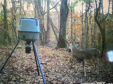 0 Madison 4099 unit 1322233, Crosses, AR 72727 - photo 5