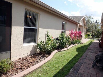 Lovely plants on side of home.