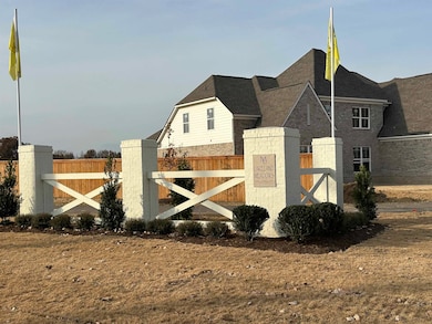 9991 Buttercup Cove, Lakeland, TN 38002 - photo 4