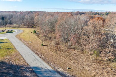 11549 Shamrock Ct, Stanwood, MI 49346 - photo 4