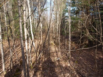 Lot 3 Crystal Ave, Jefferson, NH 03583 - photo 4