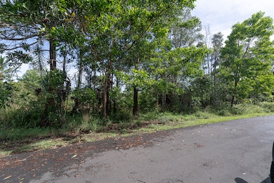 0 N Kala St unit 725925, Pahoa, HI 96778 - photo 2