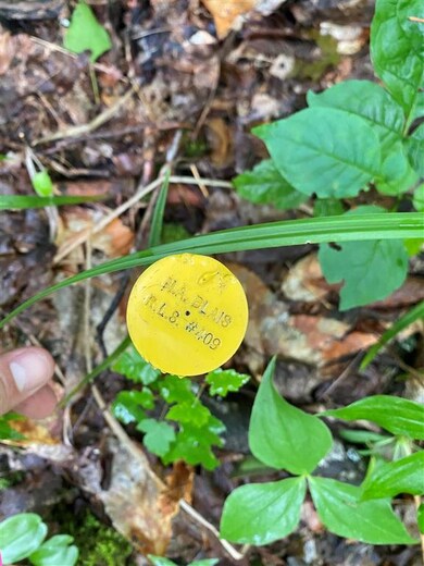 2899 Vermont 5a, Orleans, VT 05860 - photo 7