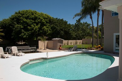 Gorgeous Pool