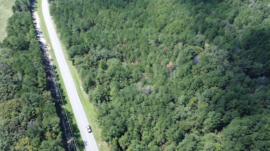 0 Twin Bridges Rd unit 11579160, Eatonton, GA 31024 - photo 4